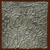 Plants: image 5 0f 10 thumb